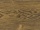 Třívrstvá podlaha Esco Karel IV Mustard Grey 15 x 190