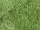 Umělý trávník Easy Lawn Daisy šíře 2 metry
