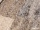 Kusový koberec Loftline 500-03 Beige-Grey